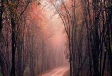 kaiyun app-里程碑夜！本菲卡临场应变，西甲清晨刷纪录，赛场秩序良好，高层口径保持一致-kaiyun app